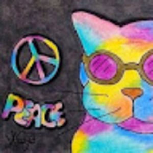 Meet your Posher, Hollie